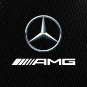 Mercedes-AMG Petronas F1 Team logo image