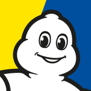 Michelin Motorsport  logo image